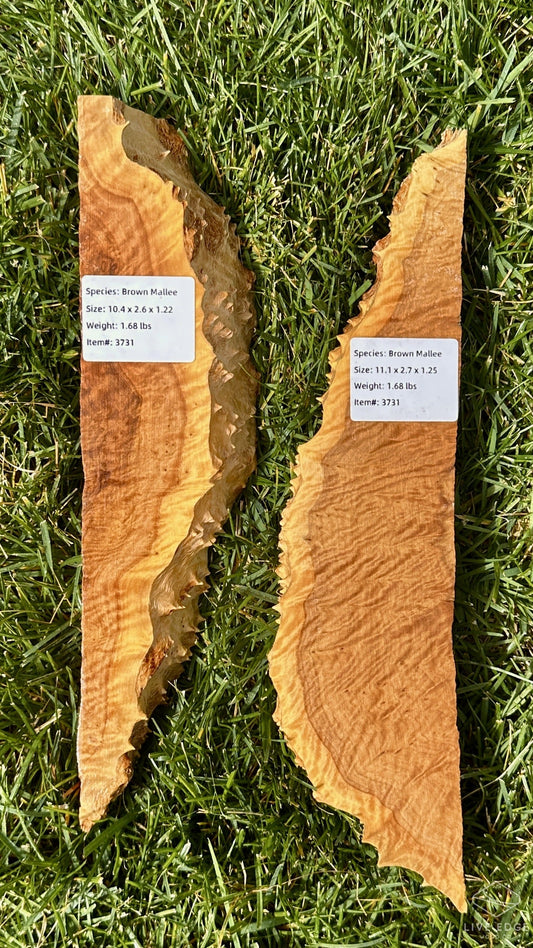 Brown Mallee Burl Set #3731