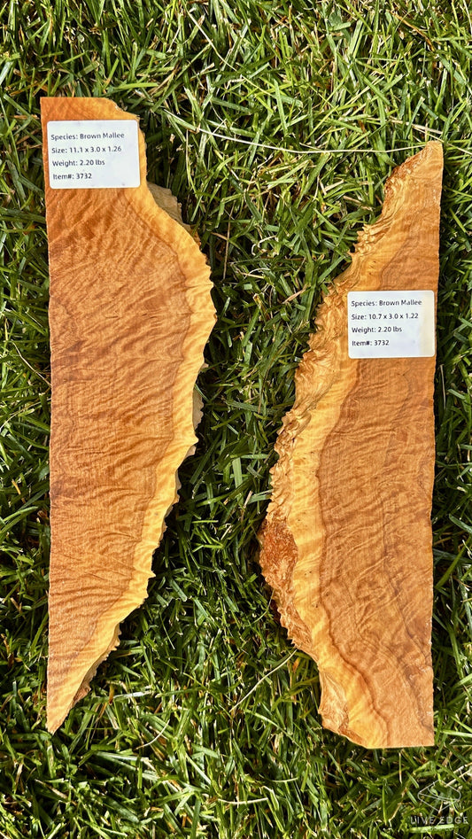 Brown Mallee Burl Set #3732