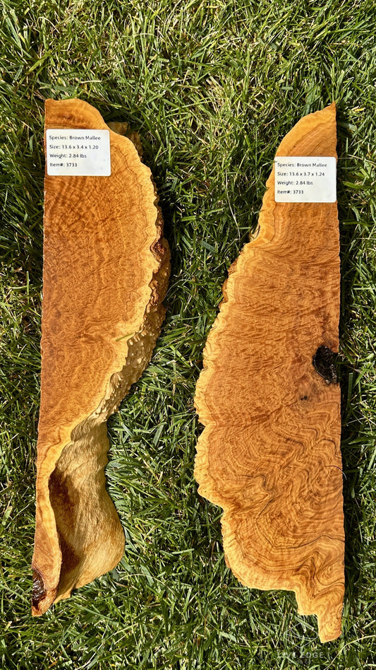 Brown Mallee Burl Set #3733