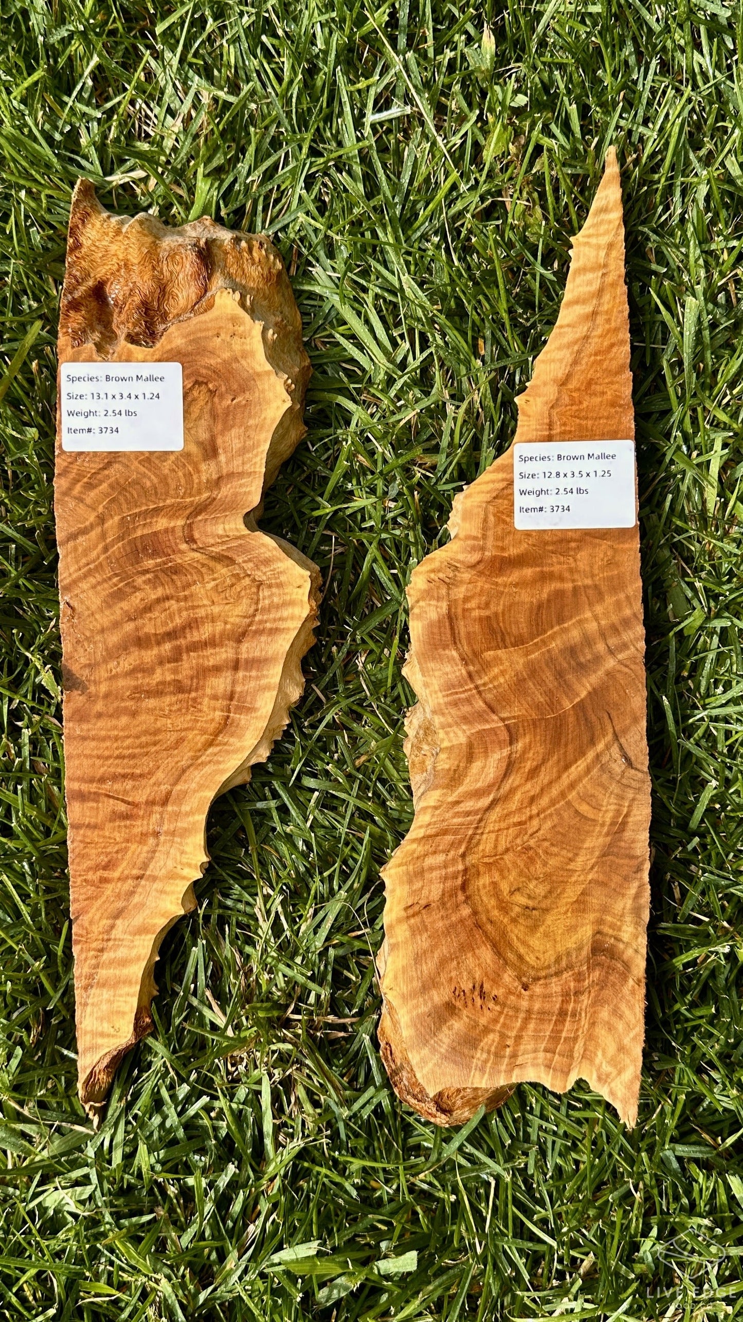 Brown Mallee Burl Set #3734