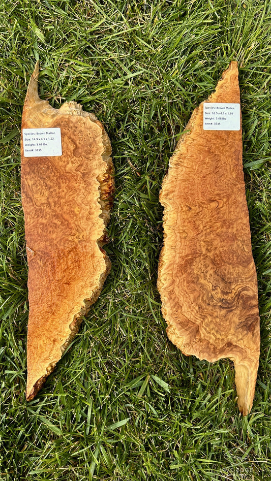 Brown Mallee Burl Set #3735