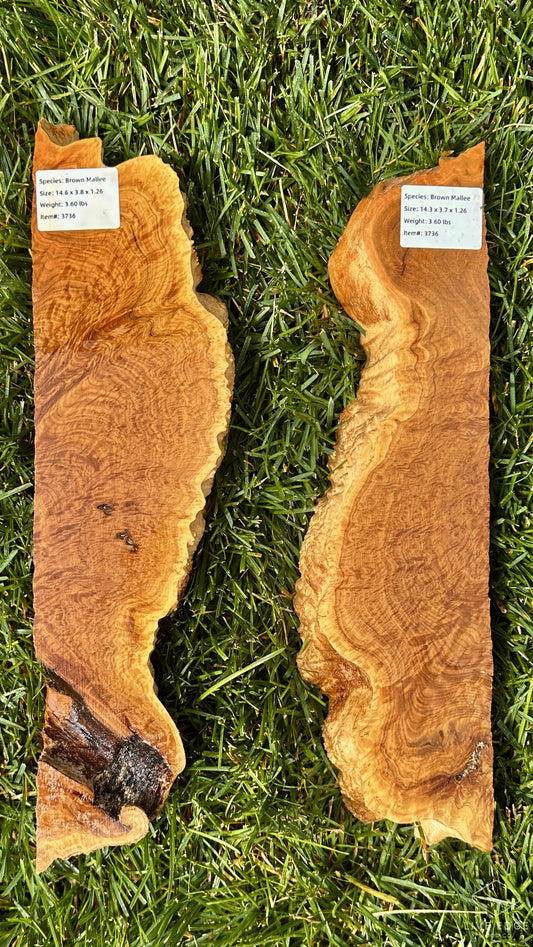Brown Mallee Burl Set #3736