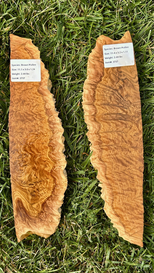 Brown Mallee Burl Set #3737