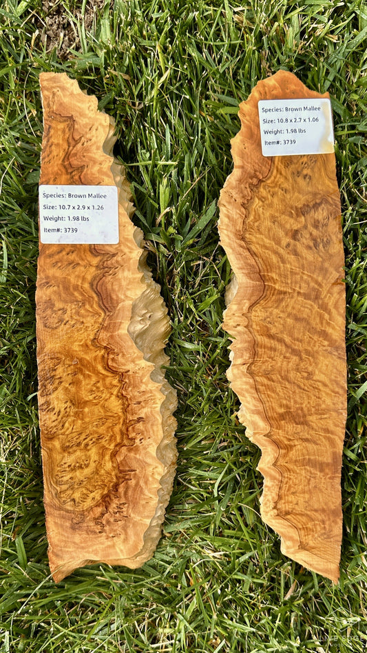 Brown Mallee Burl Set #3739