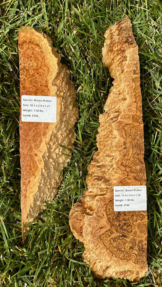 Brown Mallee Burl Set #3740