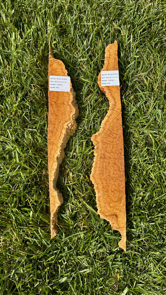 Brown Mallee Burl Set #3741