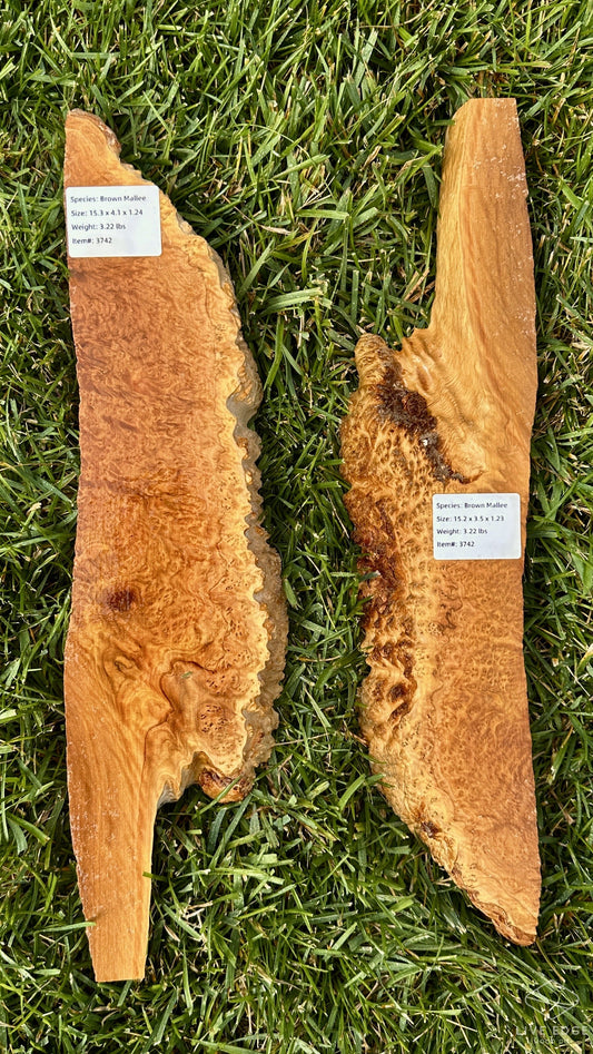 Brown Mallee Burl Set #3742