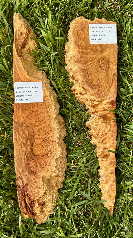 Brown Mallee Burl Set #3743