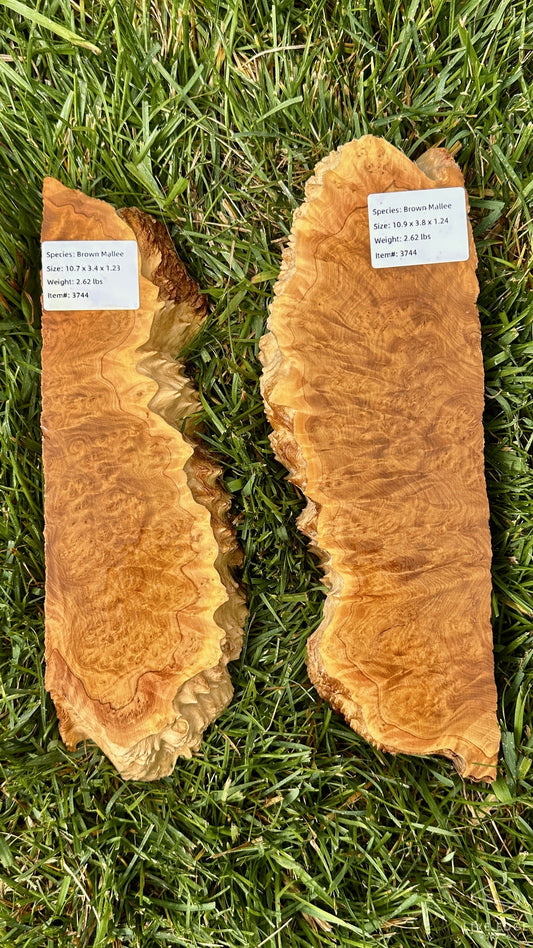 Brown Mallee Burl Set #3744