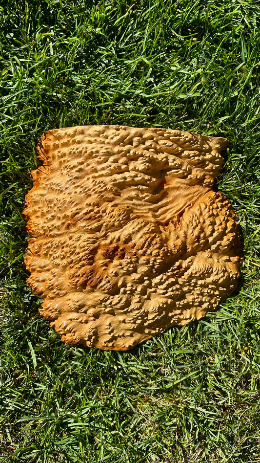 Brown Mallee Burl Cap #3753