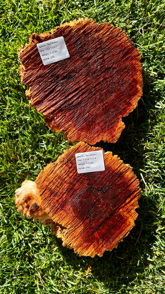 Red Mallee Burl Cap Set #3792