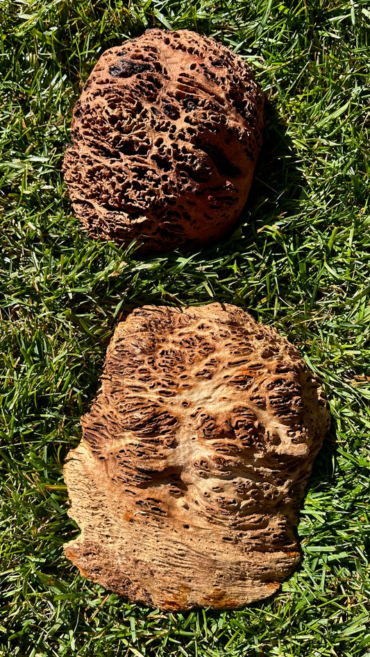 Red Mallee Burl Cap Set #3802