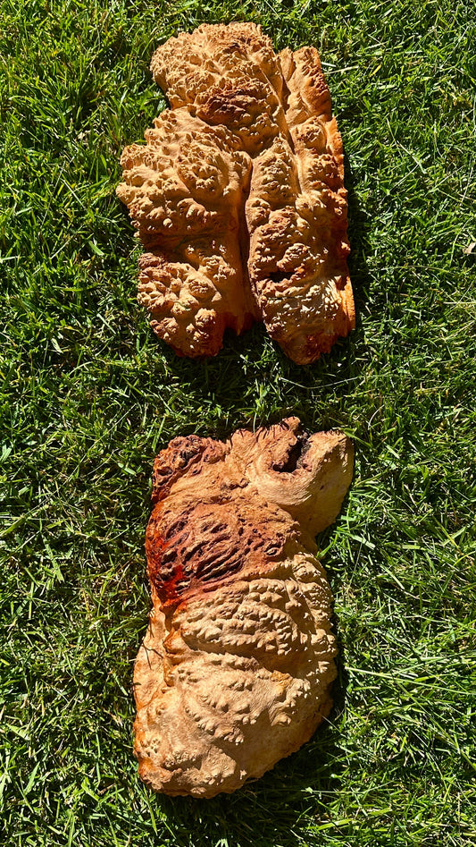 Red Mallee Burl Cap Set #3808