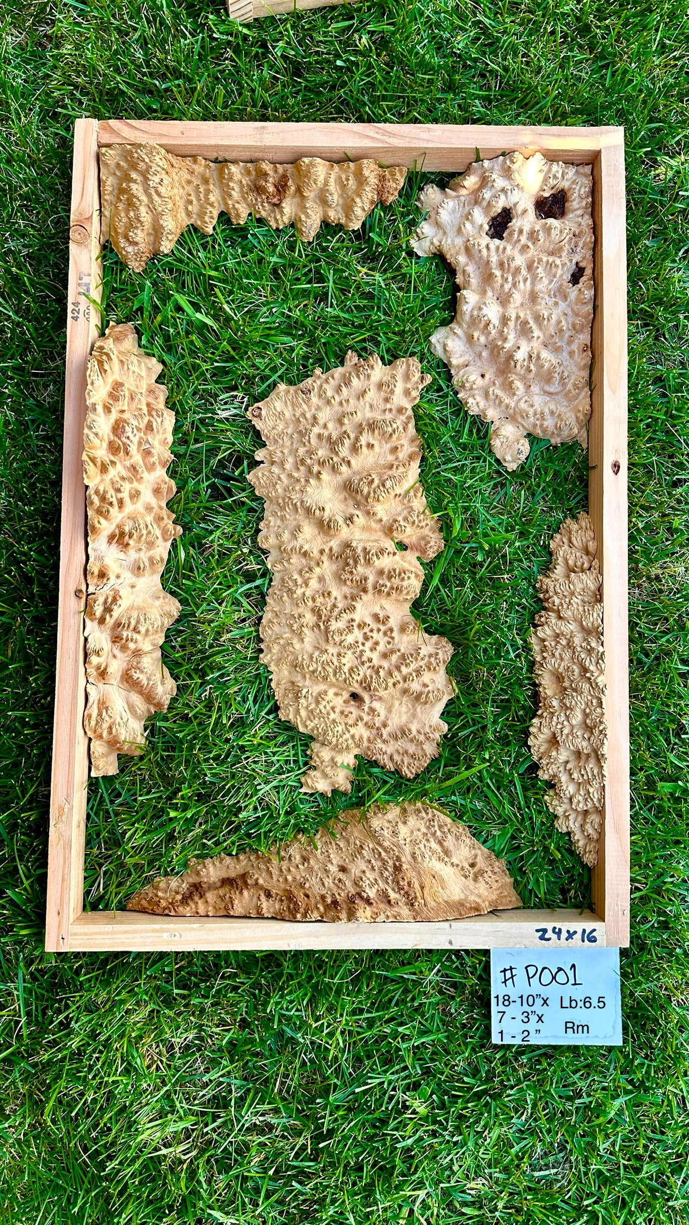 Red Mallee Burl Multi Sets #P001