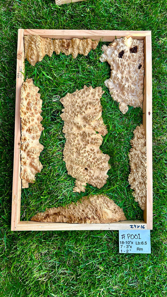 Red Mallee Burl Multi Sets #P001