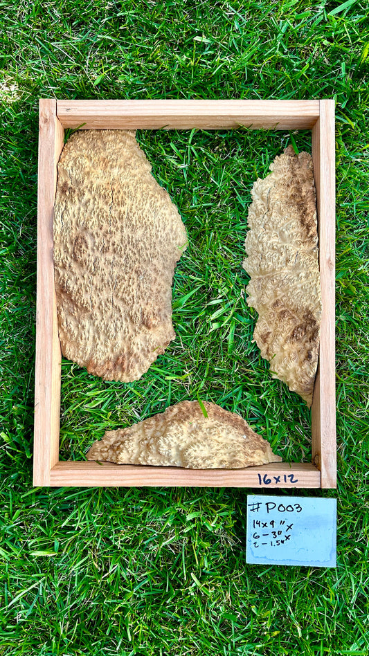 Brown Mallee Burl Multi Sets #P003