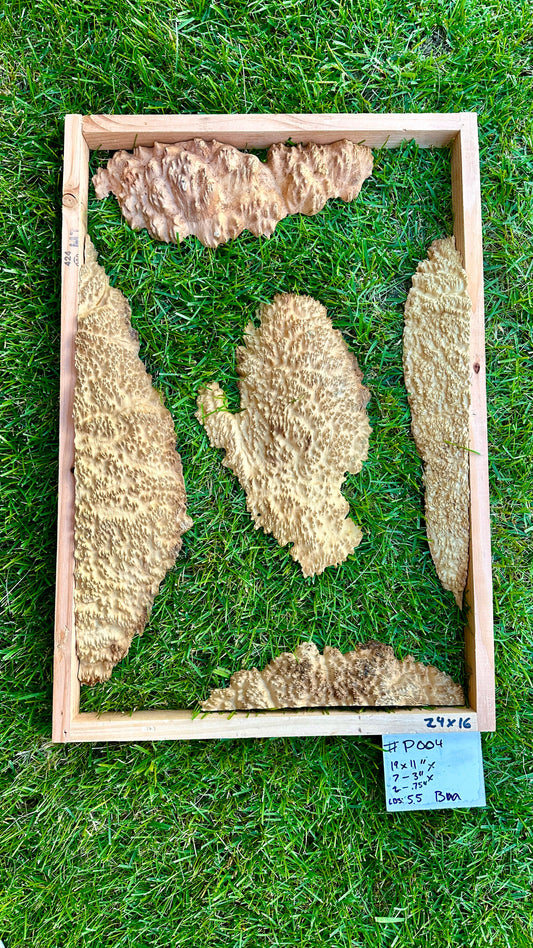 Red Mallee Burl Multi Sets #P004