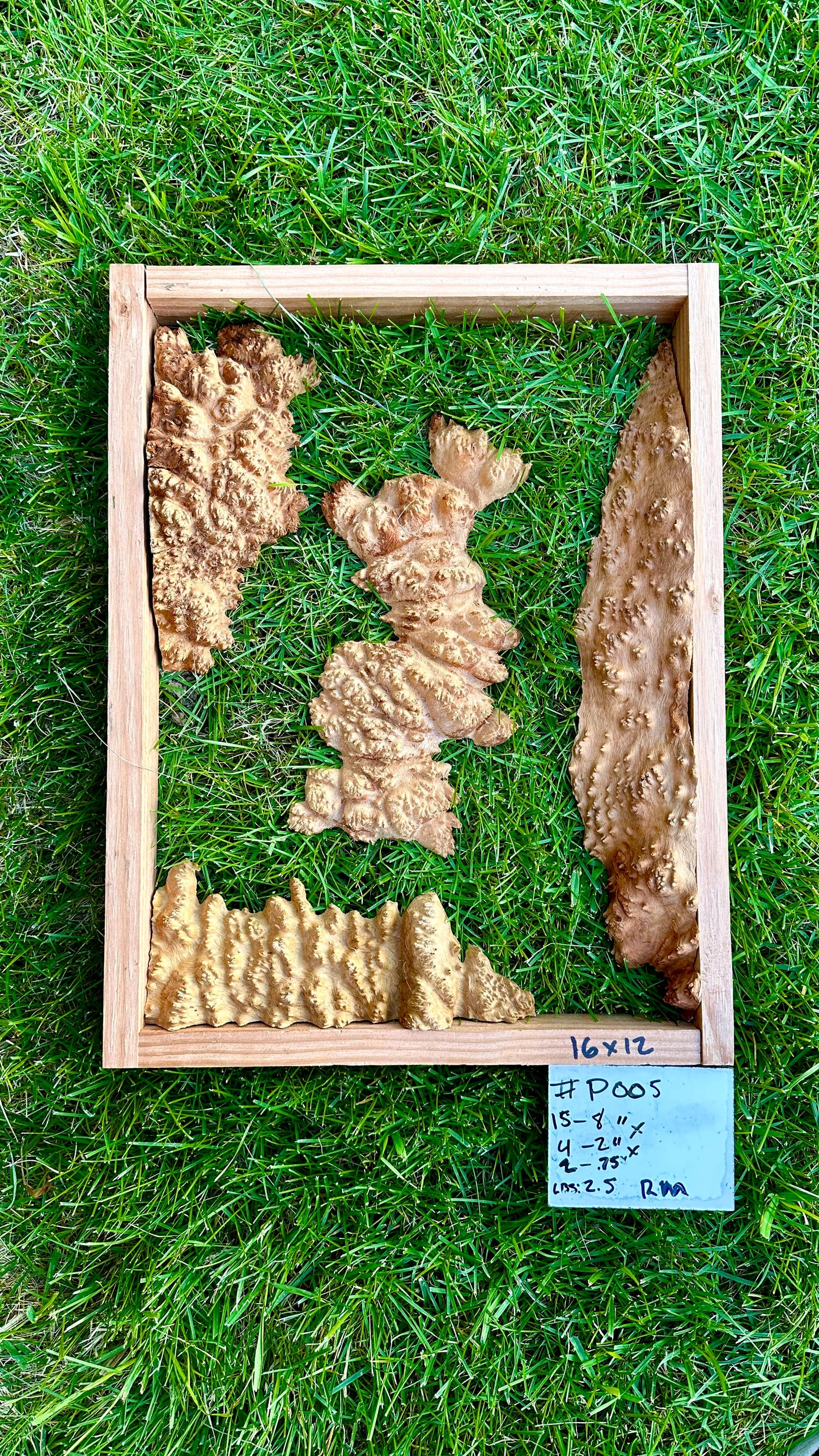 Red Mallee Burl Multi Sets #P005