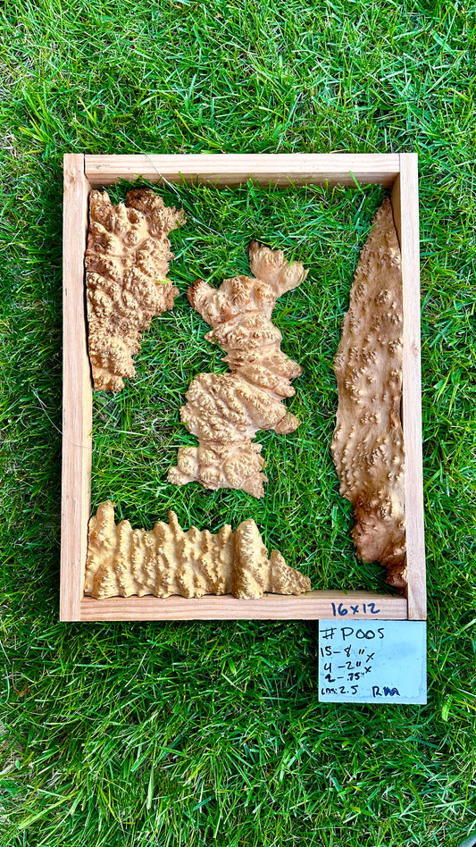 Red Mallee Burl Multi Sets #P005