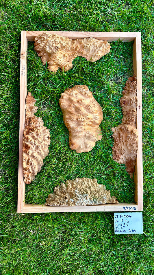 Red Mallee Burl Multi Sets #P006