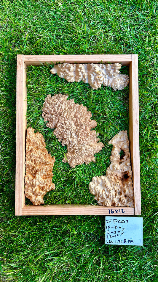 Red Mallee Burl Multi Sets #P007