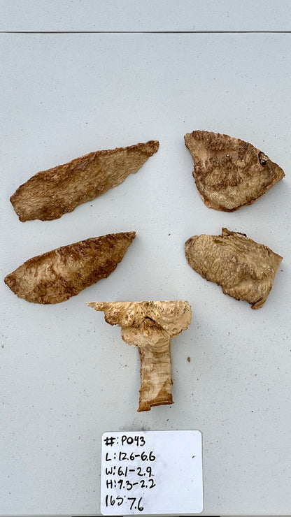 Brown Mallee Burl Multi Sets #P043