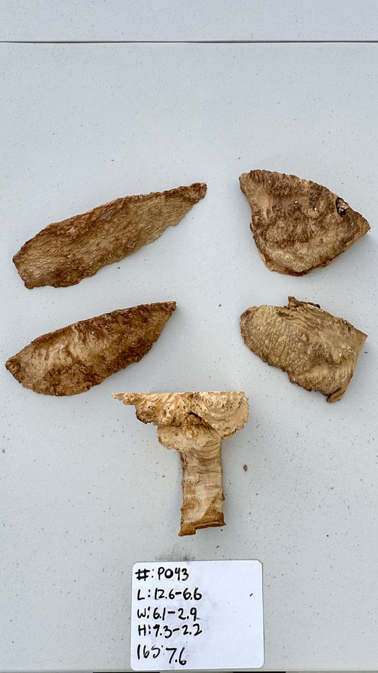 Brown Mallee Burl Multi Sets #P043
