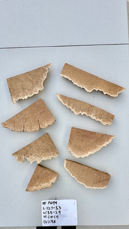 Brown Mallee Burl Multi Sets #P044