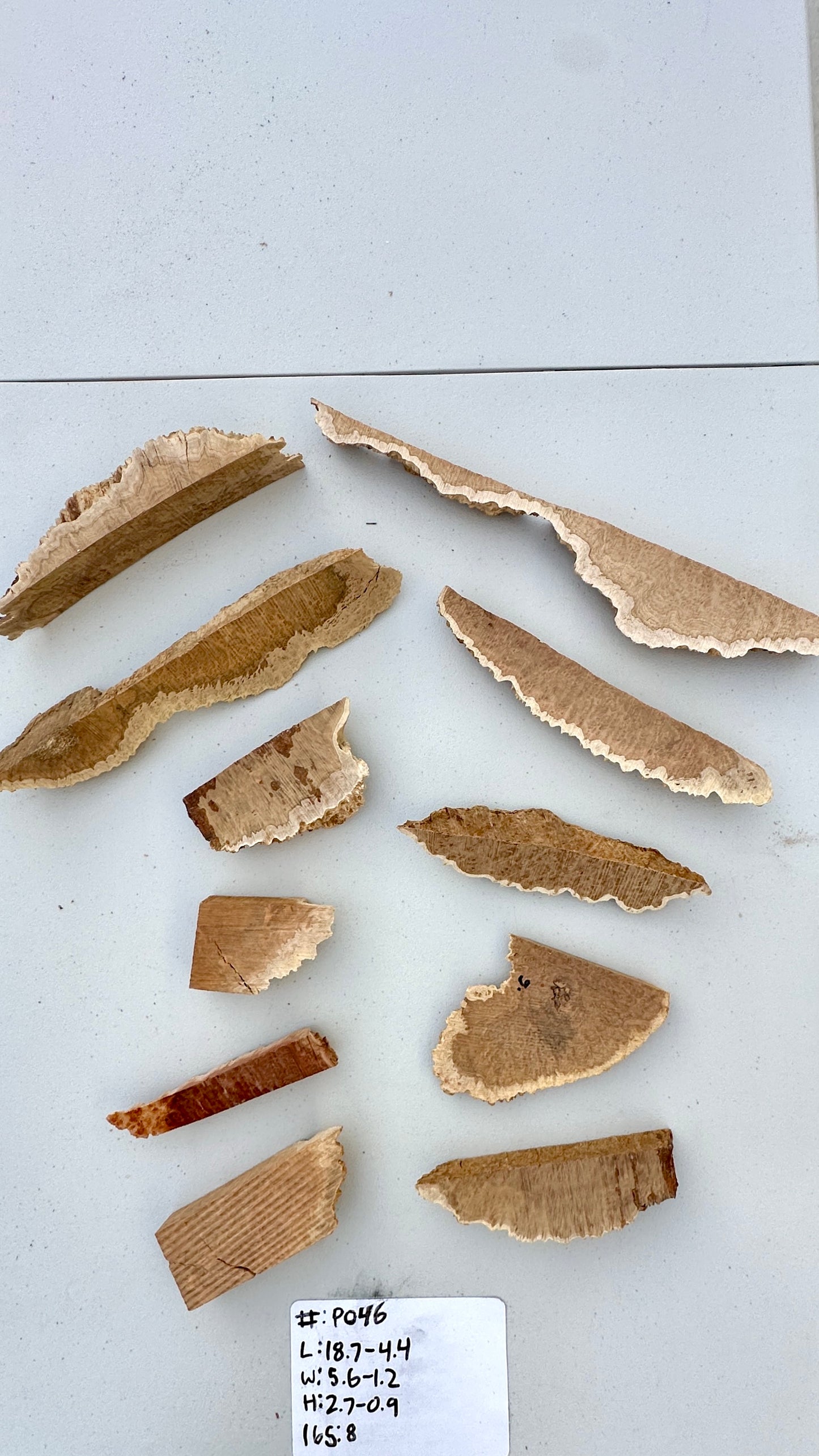 Brown Mallee Burl Multi Sets #P046