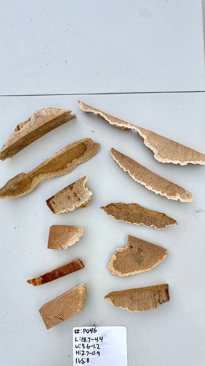 Brown Mallee Burl Multi Sets #P046