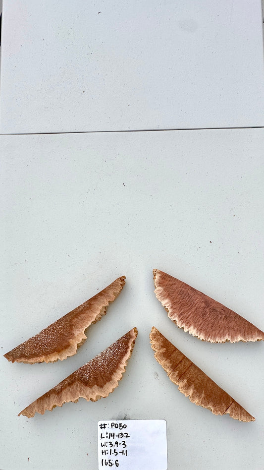 Red Mallee Burl Multi Sets #P050