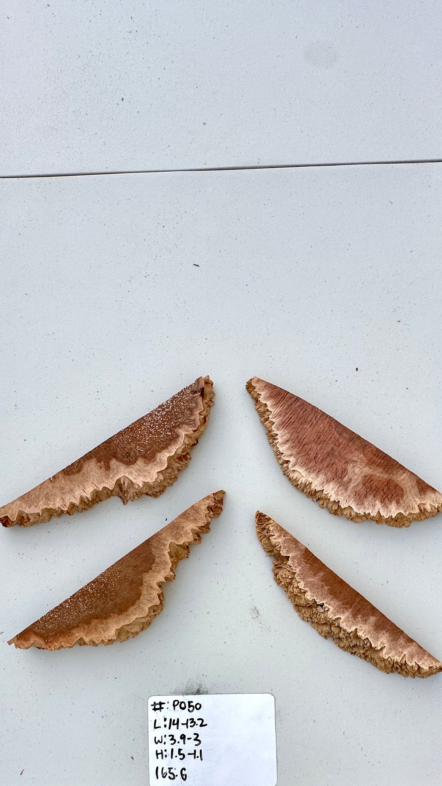 Red Mallee Burl Multi Sets #P050