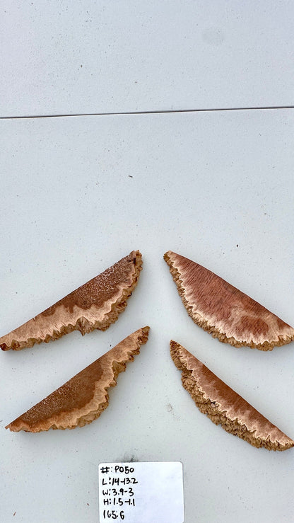 Red Mallee Burl Multi Sets #P050