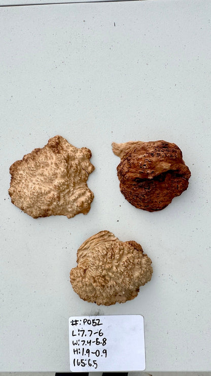 Brown Mallee Burl Multi Sets #P052