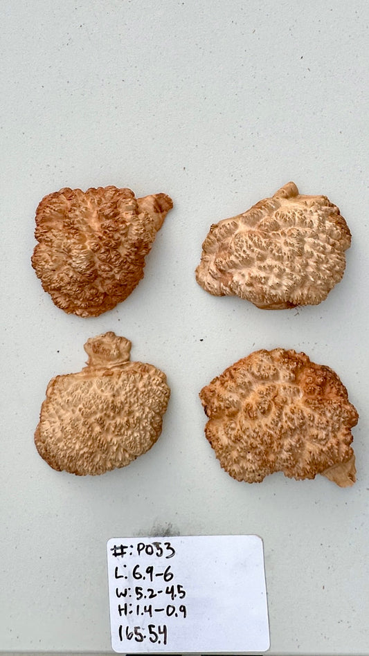 Red Mallee Burl Multi Sets #P053