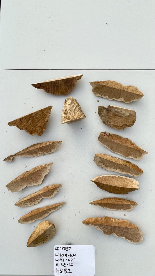 Brown Mallee Burl Multi Sets #P057