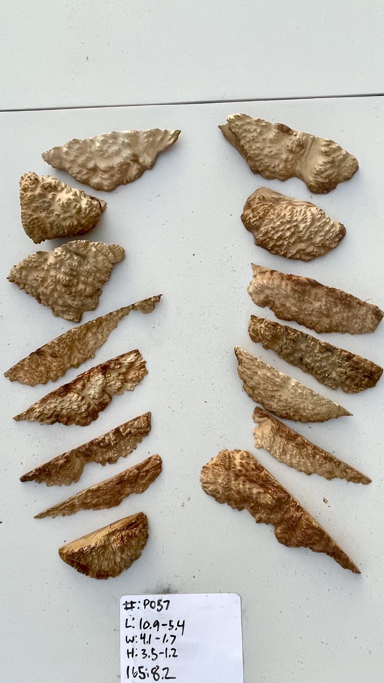 Brown Mallee Burl Multi Sets #P057