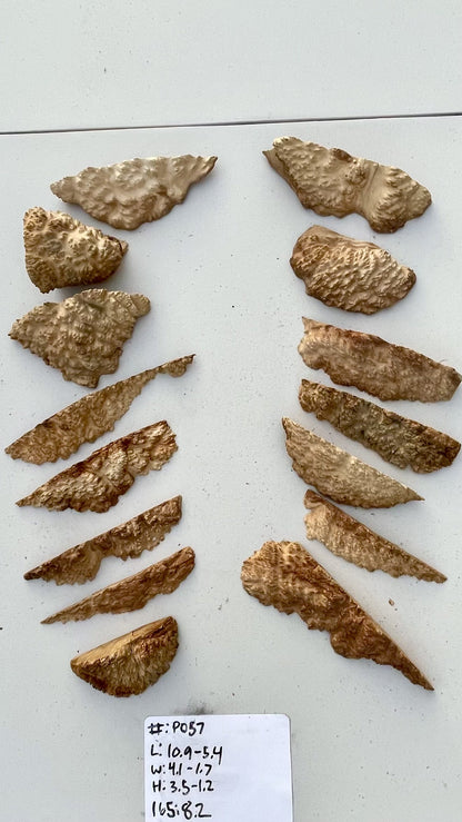 Brown Mallee Burl Multi Sets #P057