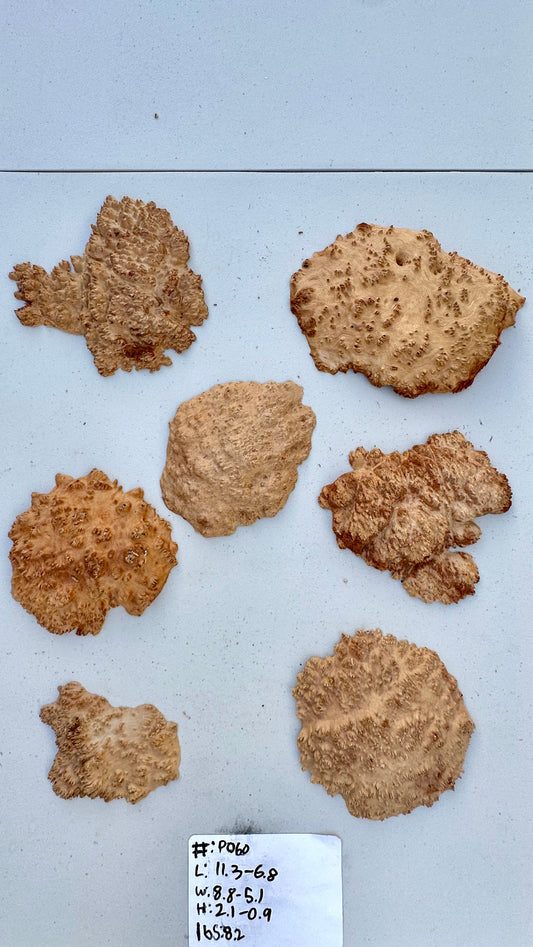Red Mallee Burl Multi Sets #P060