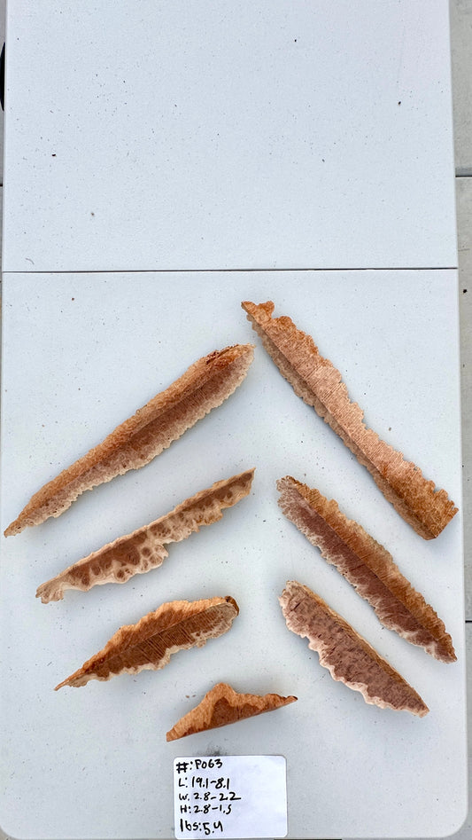 Red Mallee Burl Multi Sets #P063