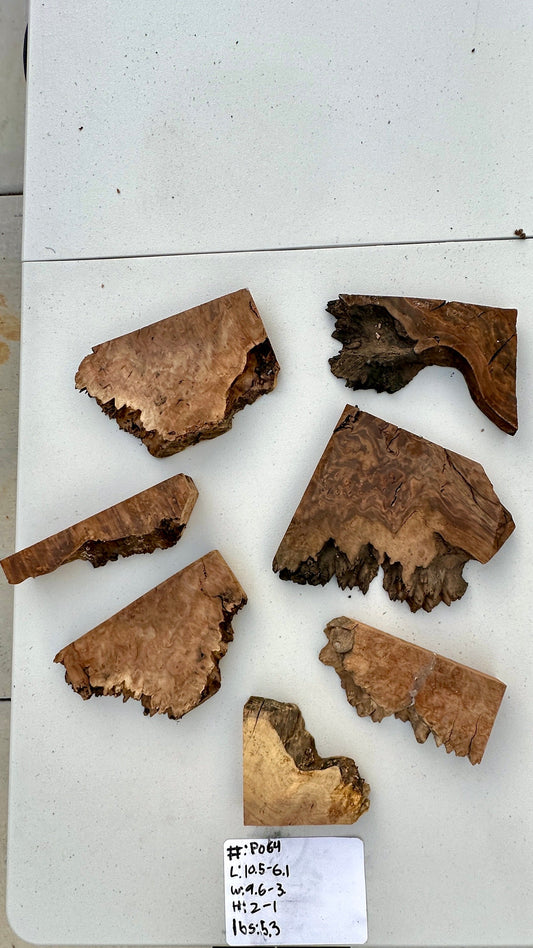 Claro Walnut Burl Multi Sets #P064