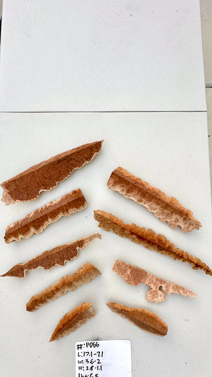 Red Mallee Burl Multi Sets #P066