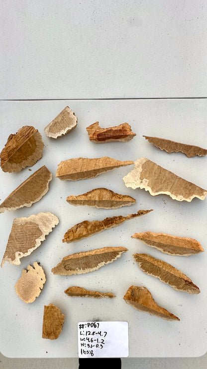 Brown Mallee Burl Multi Sets #P067