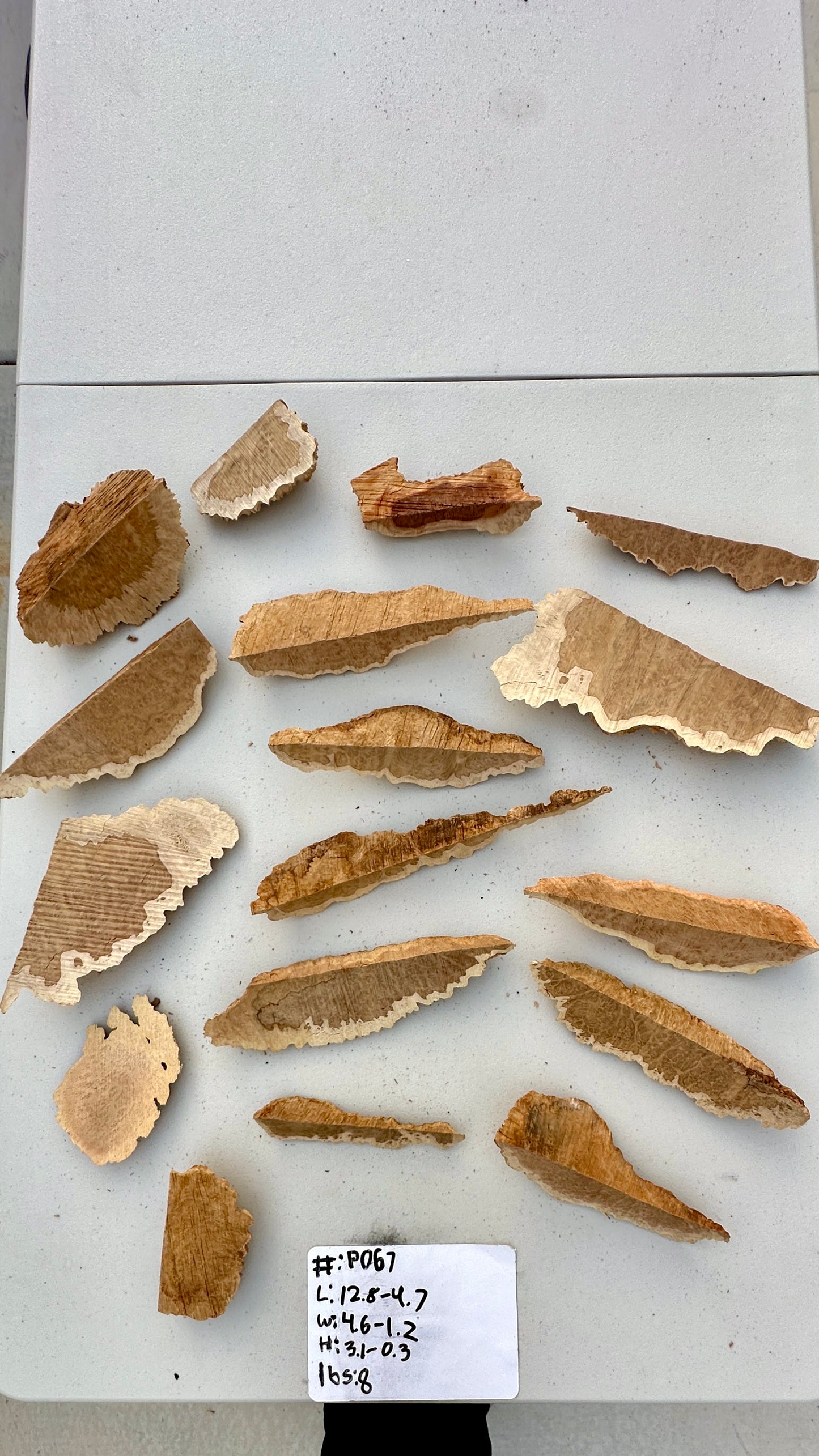 Brown Mallee Burl Multi Sets #P067