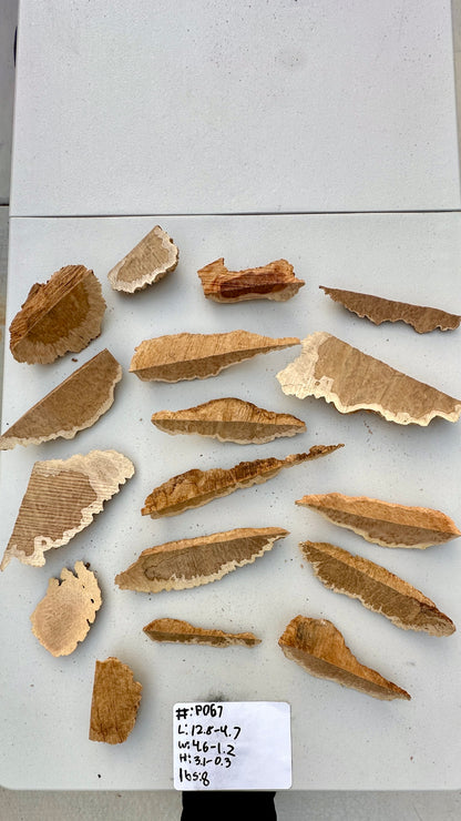 Brown Mallee Burl Multi Sets #P067