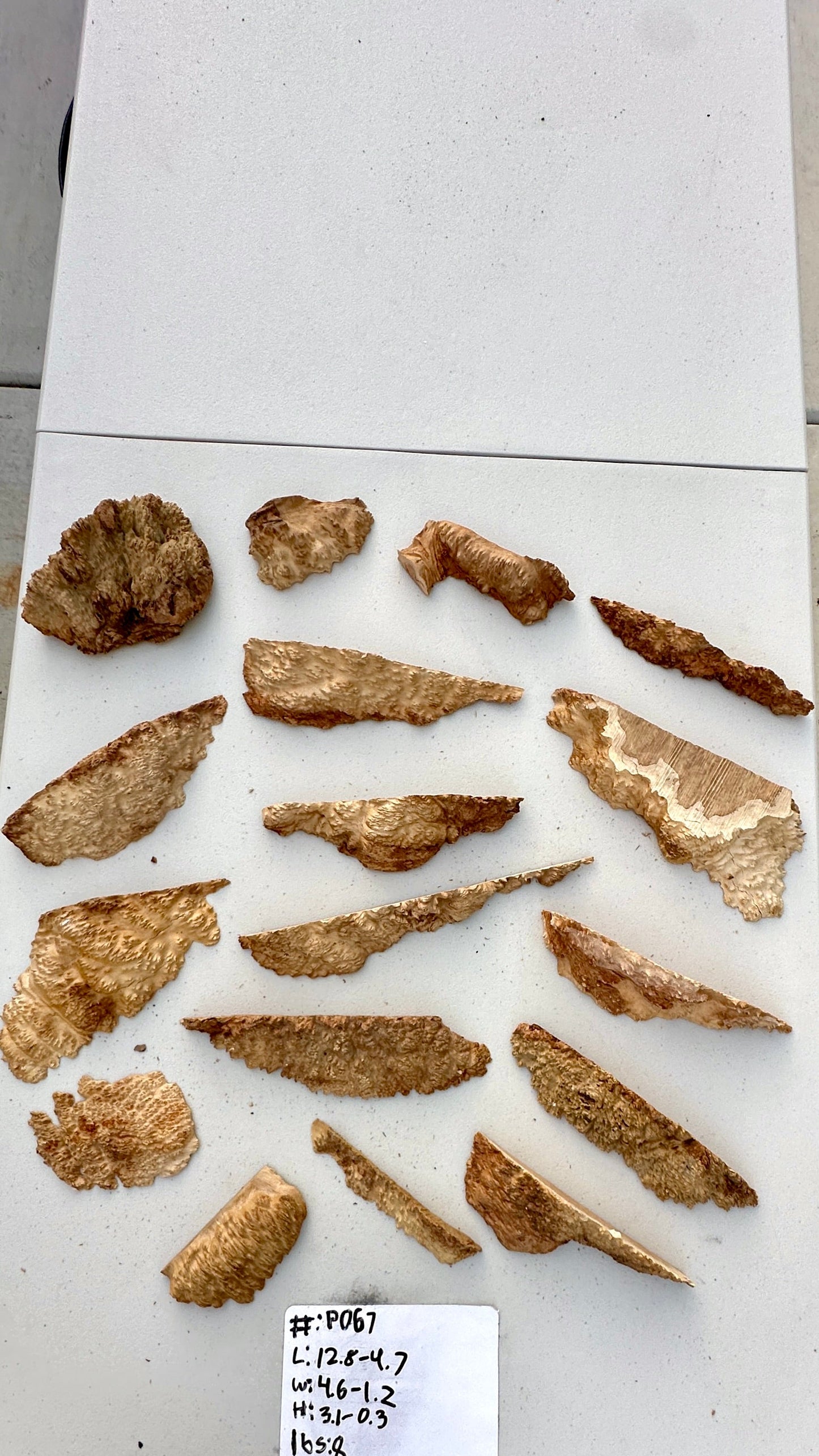 Brown Mallee Burl Multi Sets #P067