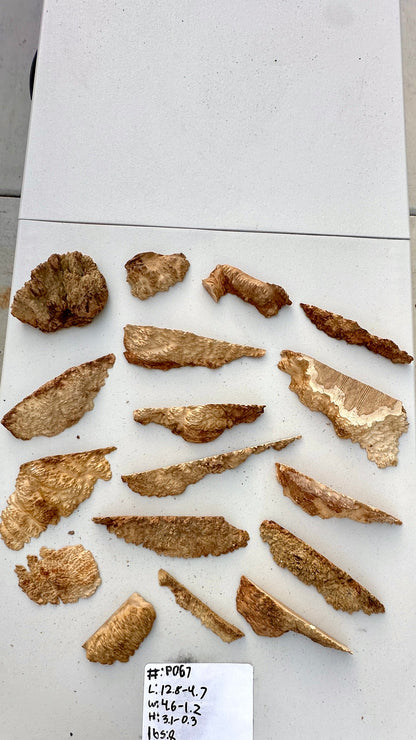 Brown Mallee Burl Multi Sets #P067