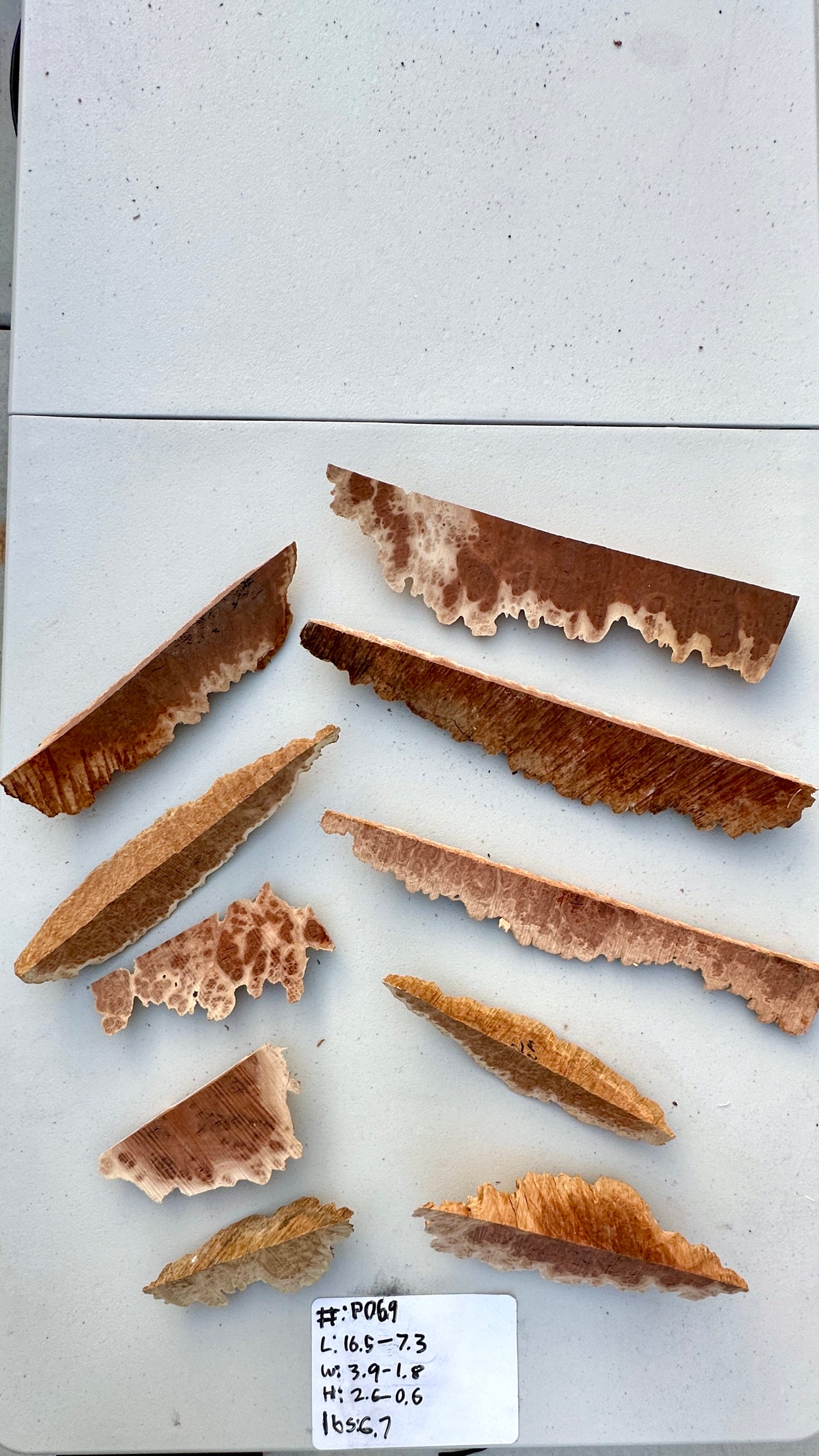 Red Mallee Burl Multi Sets #P069