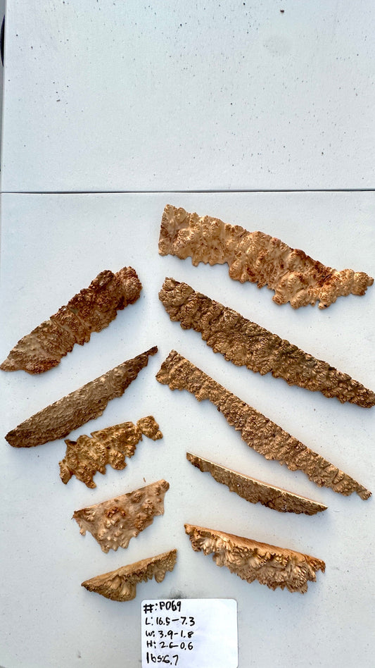 Red Mallee Burl Multi Sets #P069