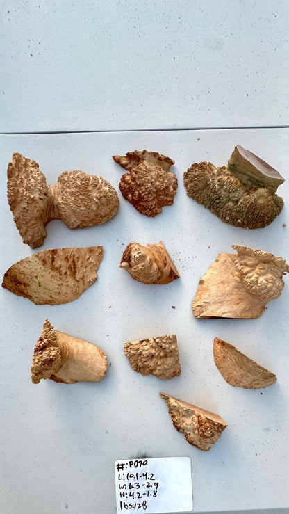 Red Mallee Burl Multi Sets #P070